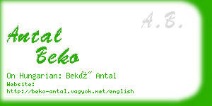 antal beko business card